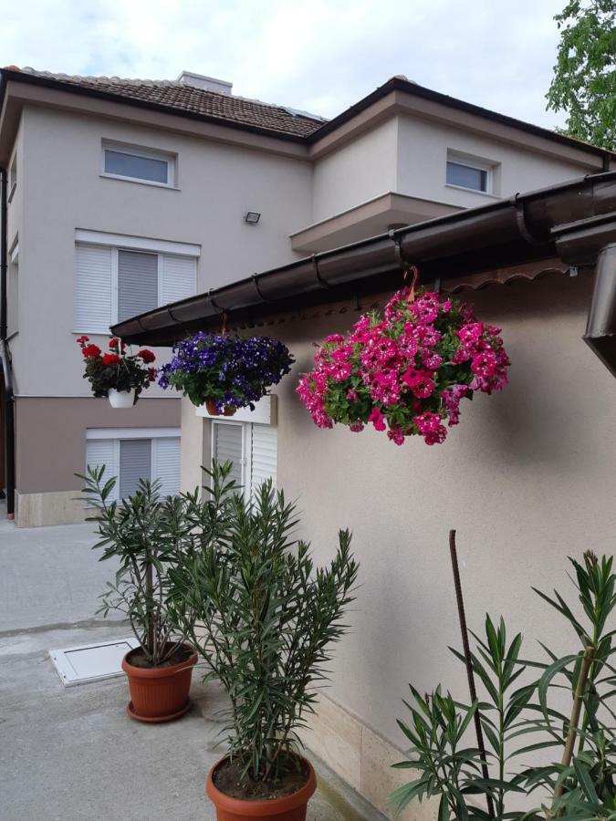 Villa Ros Guest House Svilengrad Exteriér fotografie