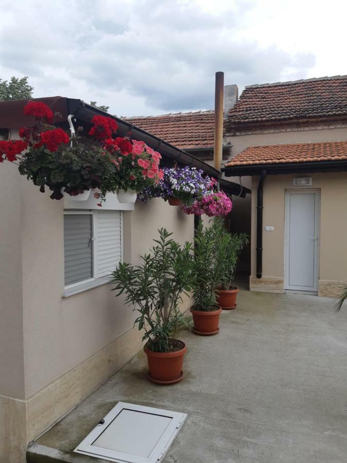 Villa Ros Guest House Svilengrad Exteriér fotografie