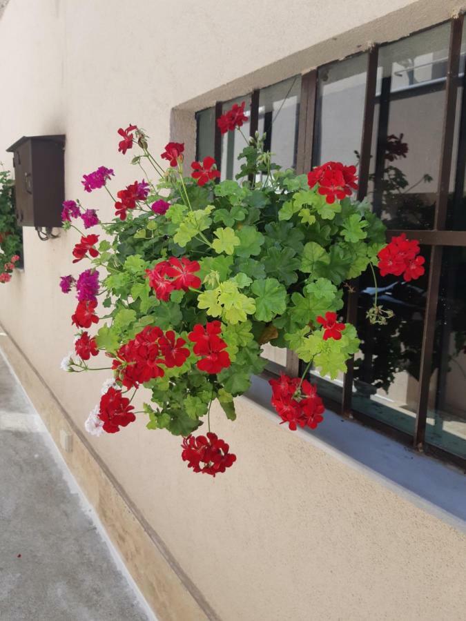 Villa Ros Guest House Svilengrad Exteriér fotografie