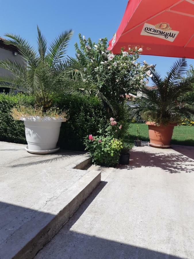 Villa Ros Guest House Svilengrad Exteriér fotografie